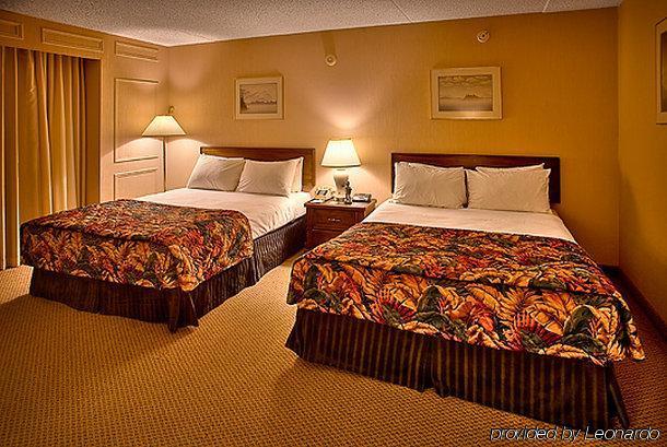 Black Knight Inn Red Deer Rum bild